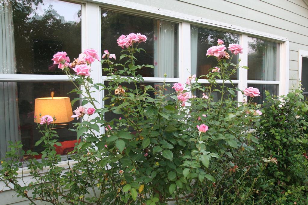 Onion Creek Cottage ออสติน ภายนอก รูปภาพ